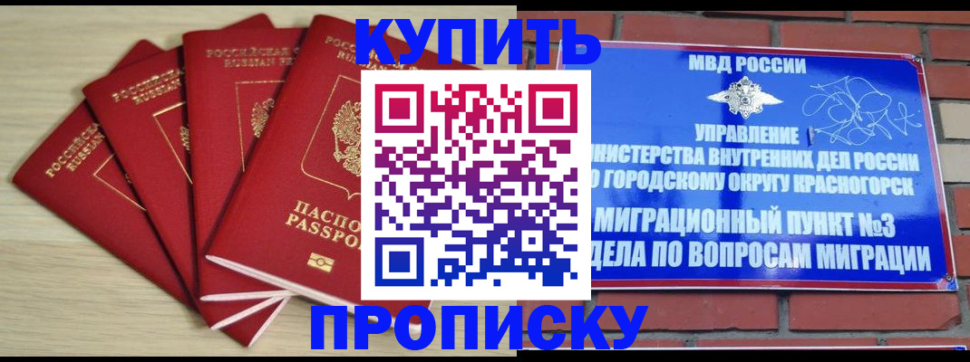 временная регистрация для всех в Волосово